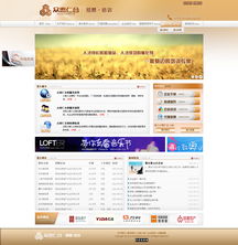 設計案例 沈陽網(wǎng)站設計,易勢為您量身打造